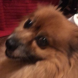 Meet your Posher, Cente